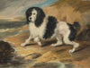 Tapageur, the Poodle belonging to the Honorable Frederick Byng