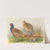 Tarim Pheasant by Henry Jones