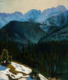 Tatra Mountain view
