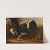 Taureau en courroux by Jacques-Raymond Brascassat
