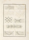 Tavola 11