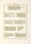 Tavola 12