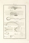 Tavola 25