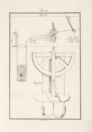 Tavola 41