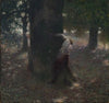 Teasing (1889)