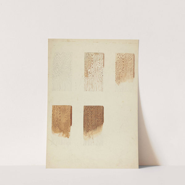 Technique Demo (Wood Grain) by American 20th Century