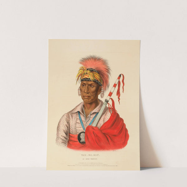 Teh-Ro-Hon, An Ioway Warrior (1838) by Charles Bird King