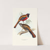 Temminck’s Trogon (1835-1838) by John Gould