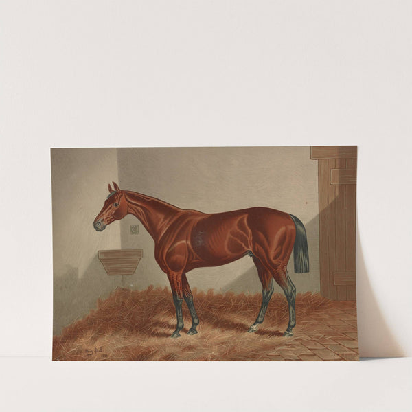 Ten Broeck by Henry Stull