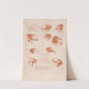 Ten different eyes (1749-1849) by Louis-François Roubiliac