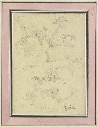 Ten sheep