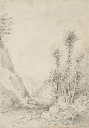 Termination of the second gorge,looking back, Upper Hutt