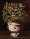 Terracotta Vase With An Orange Bush In Flower