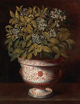 Terracotta Vase With An Orange Bush In Flower