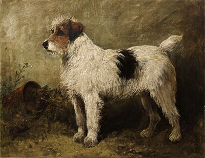 Terrier in a Garden