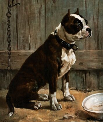 Terrier Seated
