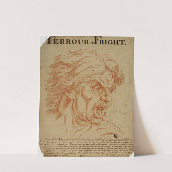 Terrour (sic) or Fright by Eduardus Jacobus