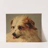 Tête de chien blanc tirant la langue by Jacques-Raymond Brascassat