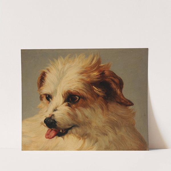 Tête de chien blanc tirant la langue by Jacques-Raymond Brascassat