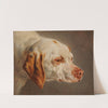 Tête de chien de chasse blanc et brun by Jacques-Raymond Brascassat