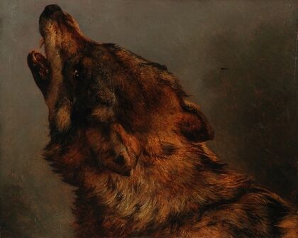 Tête de loup