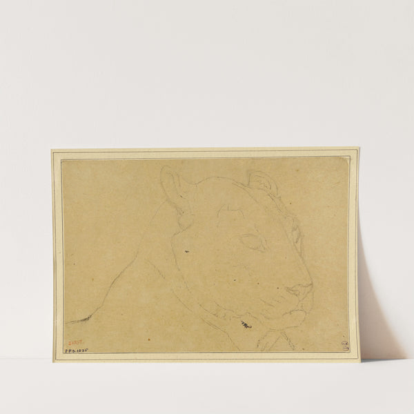 Tête de tigre (19th century) by Antoine-Louis Barye