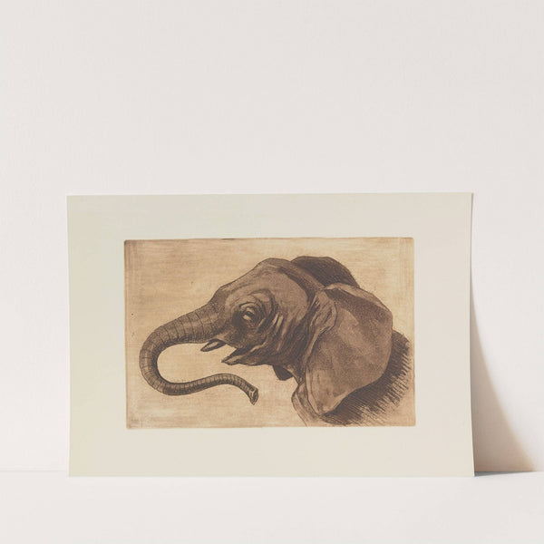 Tête d’éléphant (1893) by Henri-Charles Guérard