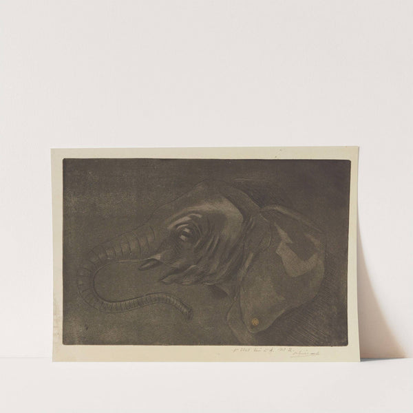 Tête d’éléphant (1893) by Henri-Charles Guérard