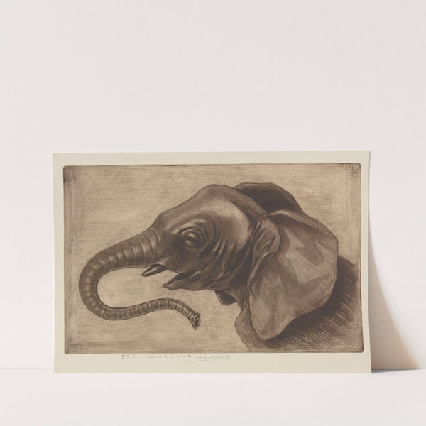 Tête d’éléphant (1893) by Henri-Charles Guérard