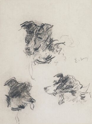 Têtes de chiens