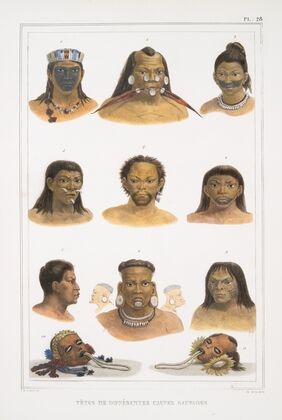 Têtes de différentes castes sauvages