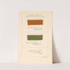 Textile Colour Mixing Pl.4 by David Paterson