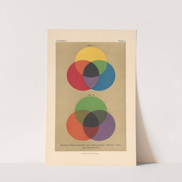Textile Colour Mixing Pl.5 by David Paterson
