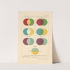 Textile Colour Mixing Pl.7 by David Paterson