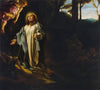 THE AGONY IN THE GARDEN