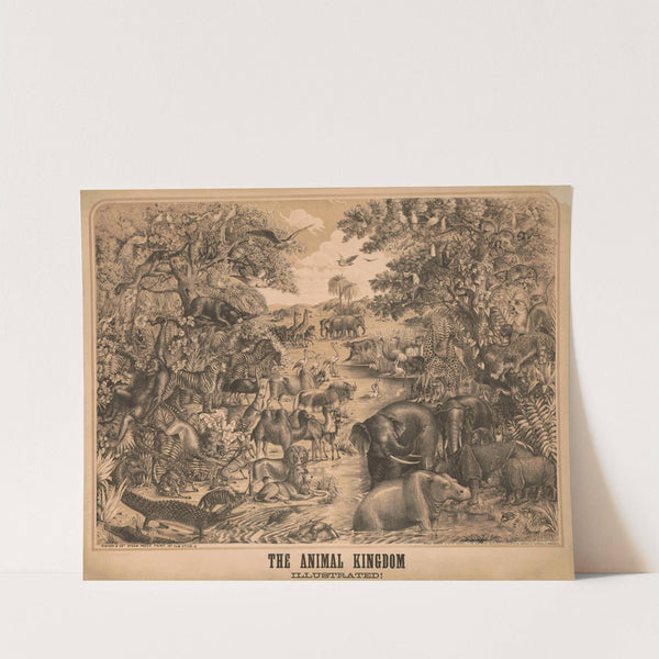 The animal kingdom, illustrated! (1872) by Gibson &amp; Co. Lith