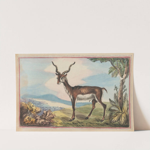 The Antelope (1787) by Thomas Rowlandson