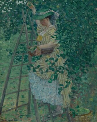 The Apple Tree