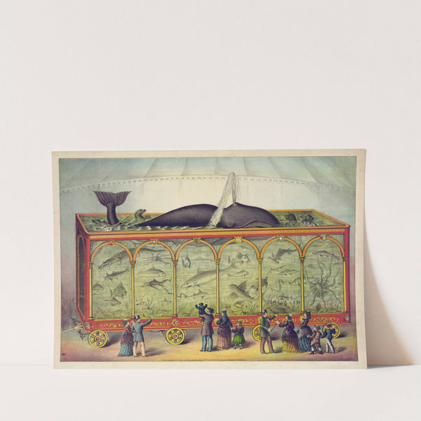 The aquarium by Gibson & Co. Lith