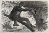 The Army of the Potomac – A Sharpshooter on Picket Duty (1862)