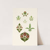 The Art of Decorative Design pl01 by Christopher Dresser