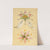 The Art of Decorative Design pl14 by Christopher Dresser