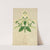 The Art of Decorative Design pl26 by Christopher Dresser