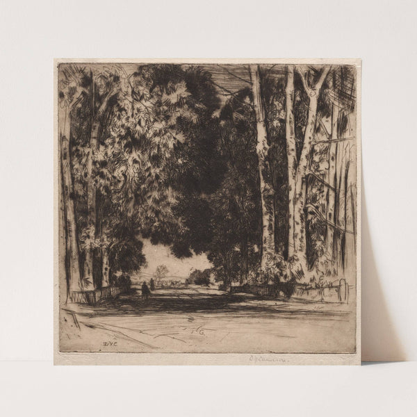 The Avenue (1905) by David Young Cameron