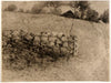 The Barn Lot (1887)