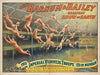 The Barnum & Bailey greatest show on earth : The imperial Viennese troupe, 15 in number