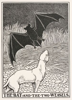The Bat and the Two Weasels