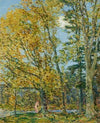 The Bather (1905)