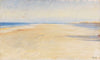 The beach at Skagen (1900-1927)