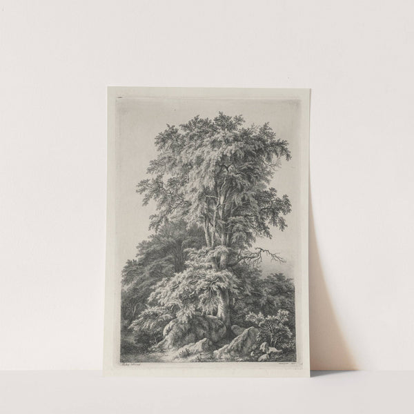 The Beach, Fontainebleau (1840) by Eugene Blery